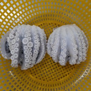 Mực đông lạnh làm sạch nguyên con - Thủy Hải Sản Thế Khánh - Công Ty TNHH Thế Khánh